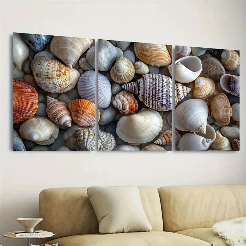 3pcs Seashells Coastal Art Nautical Wall Art Set Canvas Framed 60x90cm - High Quality Print 100% Australian Made Wall Canvas Ready to Hang