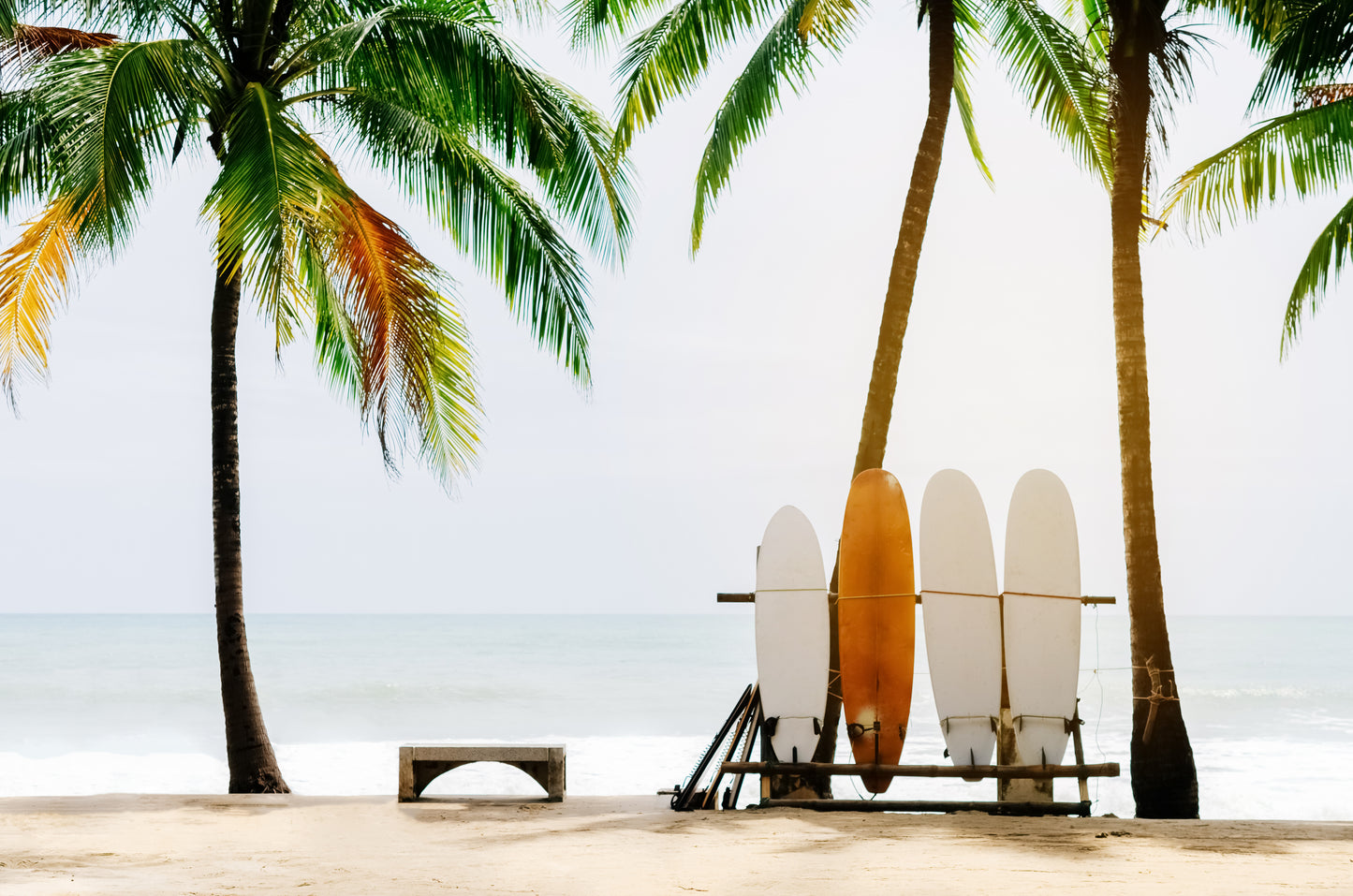 Palm Trees & Surfing Boards with Beach View Print 100% Australian Made