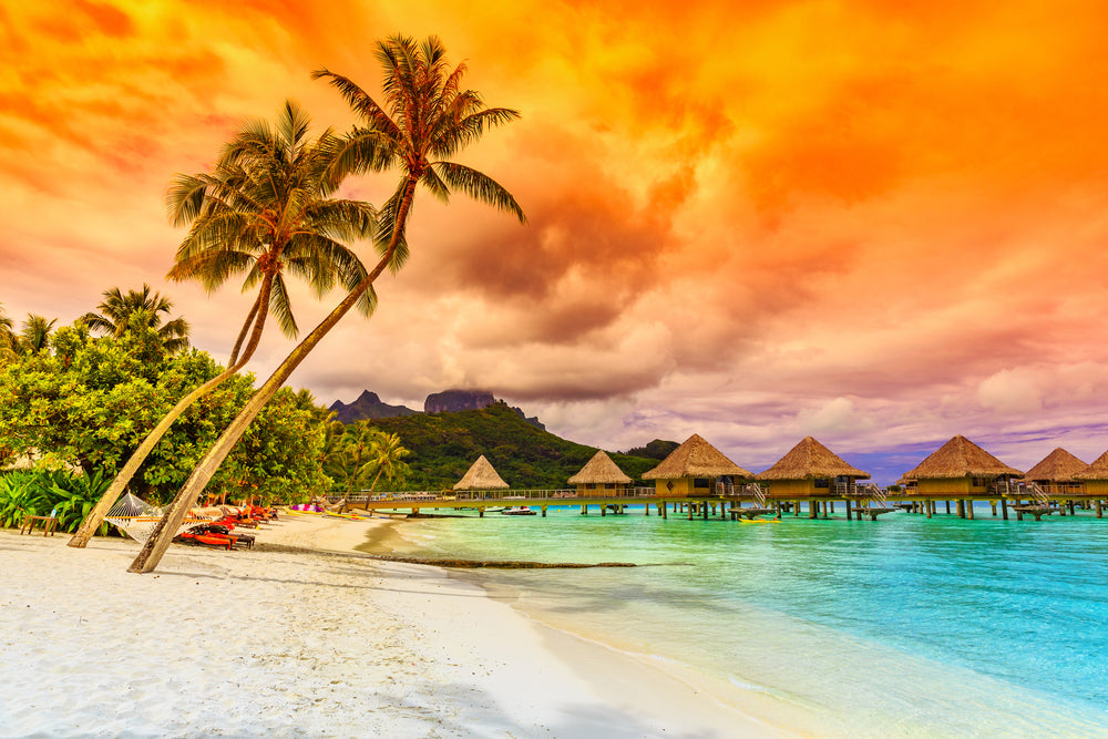 Sunset Beach VIew Print 100% Australian Made