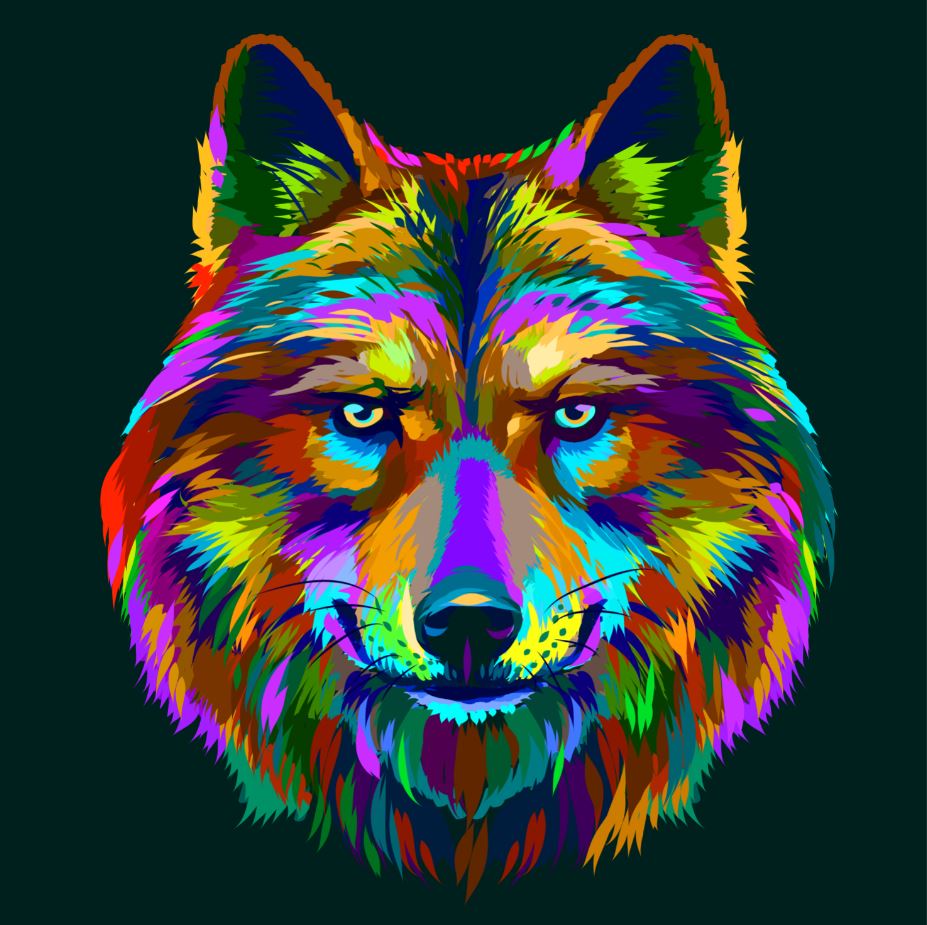 Square Canvas Abstract Colourful Fox Face Design High Quality Print 100% Australian Made