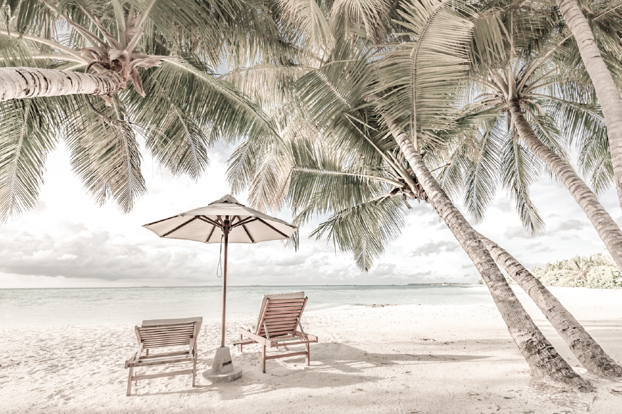 Plam Trees & Sea Cloudy Sky View Print 100% Australian Made