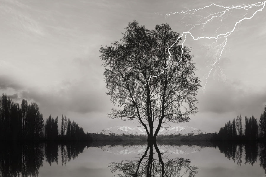 Tree on Lake & Thunderstorm B&W View Photograph Home Decor Premium Quality Poster Print Choose Your Sizes