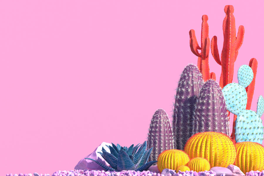 Cactus Plants Design Photograph Print 100% Australian Made