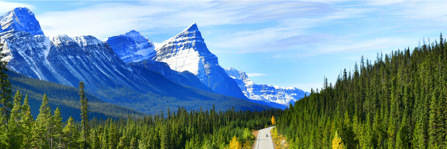 Panoramic Canvas Mountains & Bushes View Photograph High Quality 100% Australian Made Wall Canvas Print Ready to Hang