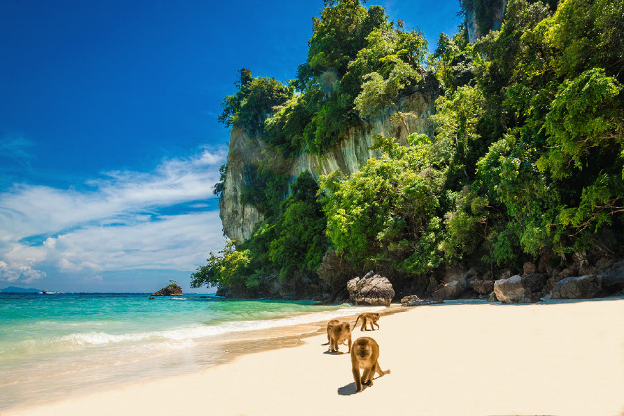Monkey Beach View Phi Phi Islands Photograph Print 100% Australian Made
