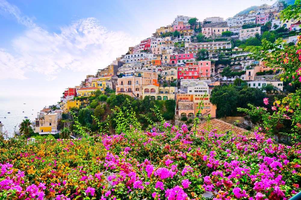 Flowers & City View Photograph Home Decor Premium Quality Poster Print Choose Your Sizes