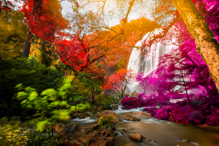 Colorful Trees & Waterfall View Print 100% Australian Made