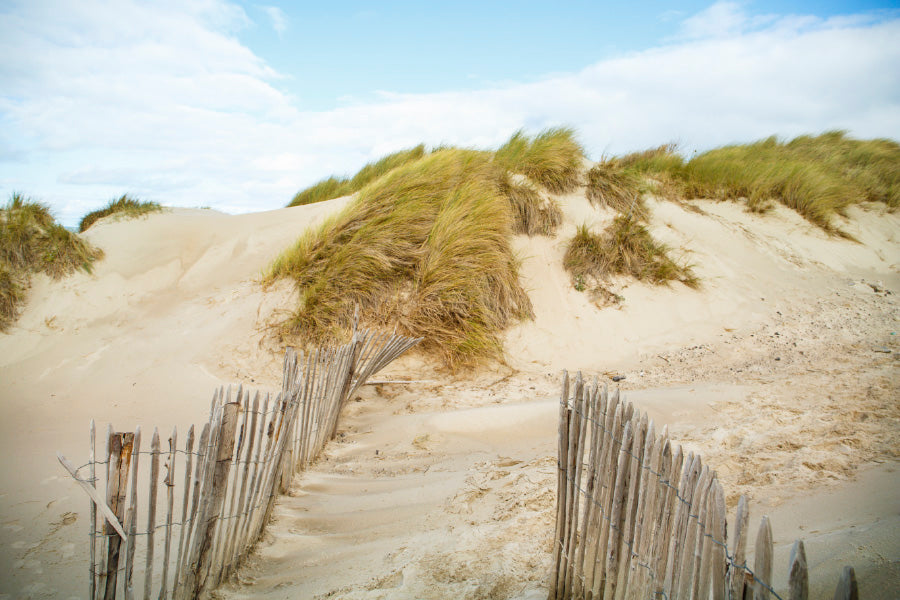 Sand Dunes & Beach Path View Photograph Print 100% Australian Made