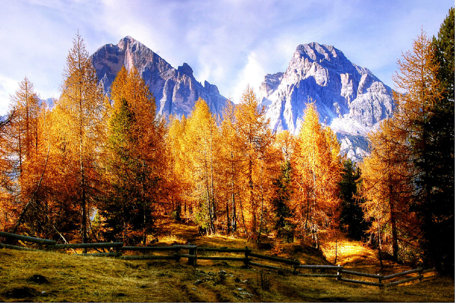 Autumn Trees & Mountains Scenery Photograph Print 100% Australian Made