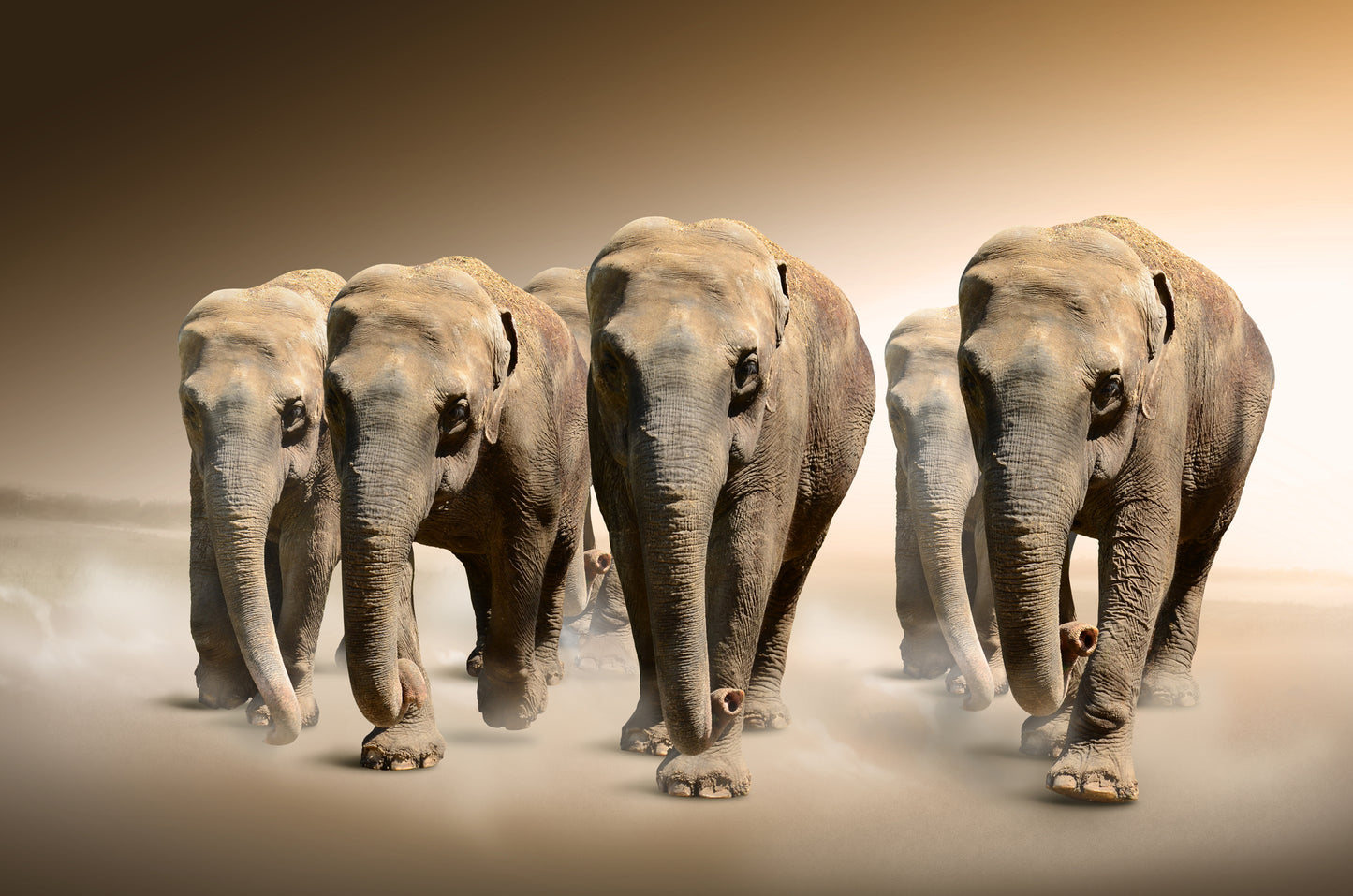 Elephant Pack Portrait View Home Decor Premium Quality Poster Print Choose Your Sizes