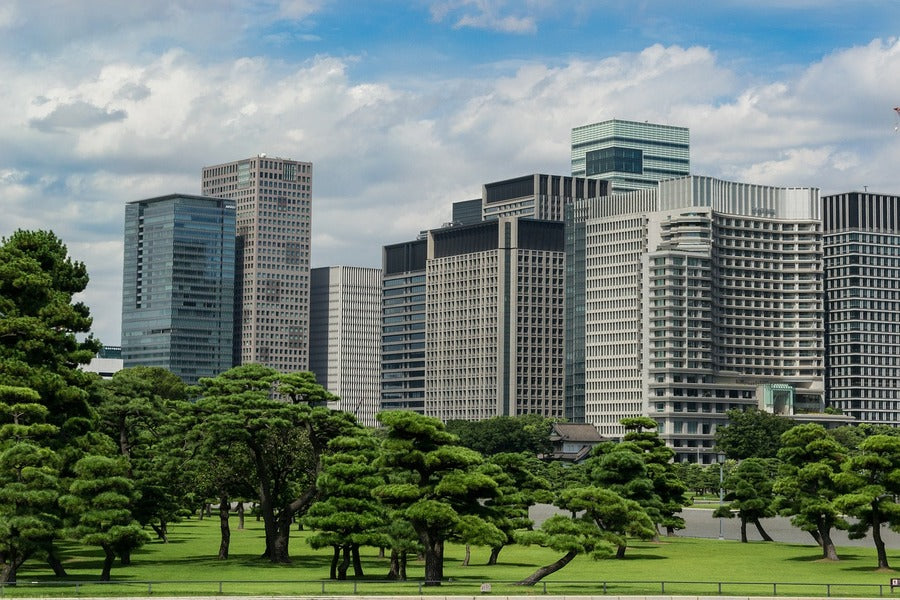 Green Park Space Tokyo Japan Photograph Print 100% Australian Made