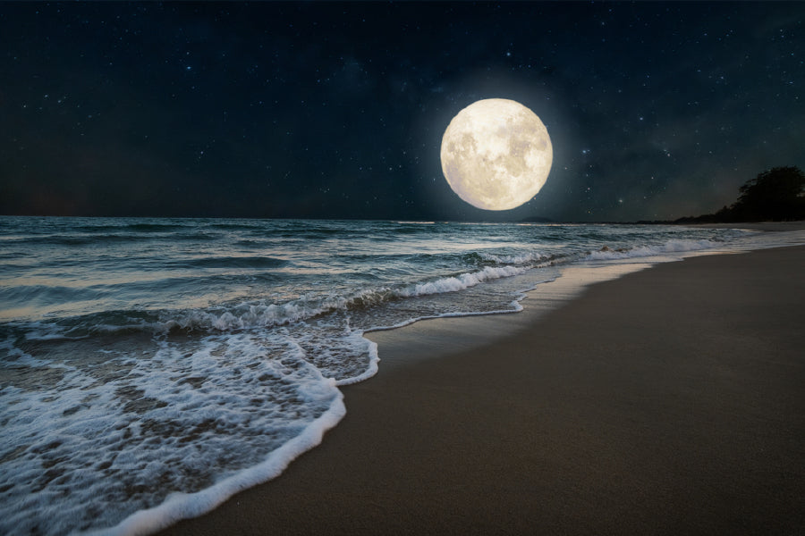 Beach & Full Moon with Star View Photograph Print 100% Australian Made