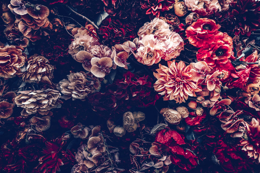 Pink & Red Flowers Photograph Print 100% Australian Made