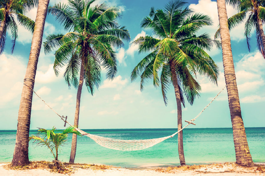 Hammock with Palm Trees near Sea Photograph Print 100% Australian Made