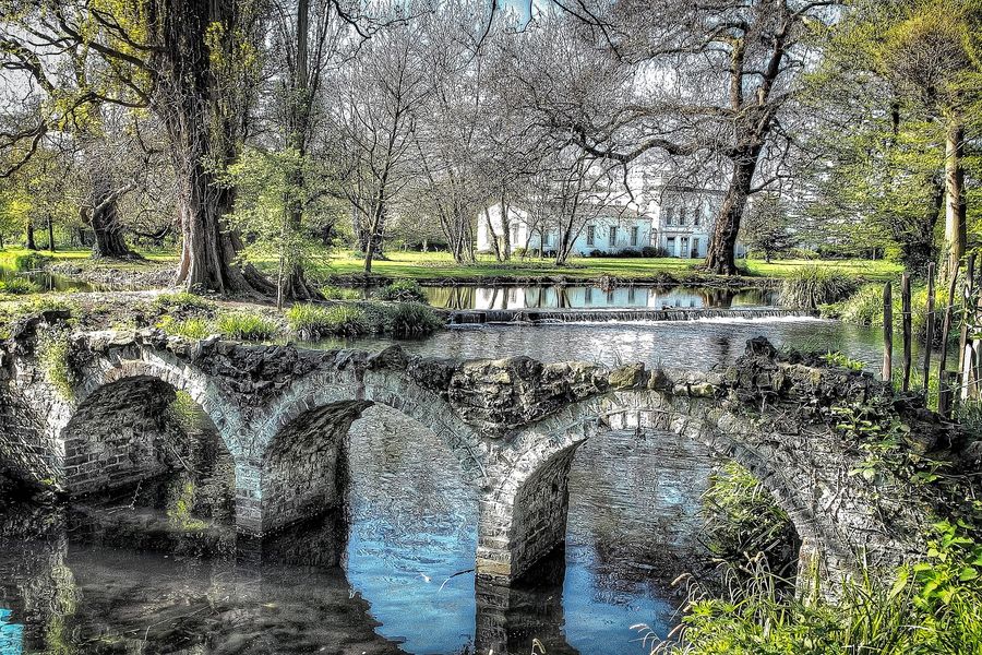 Wimbledon Park & Bridge Photograph Print 100% Australian Made