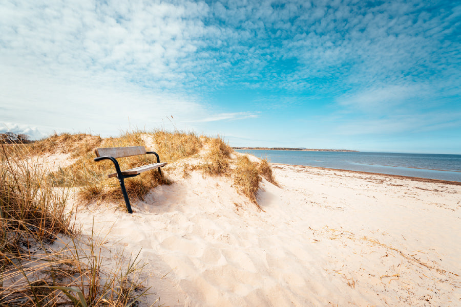 Bench on Sand Beach Photograph South Sweden Print 100% Australian Made