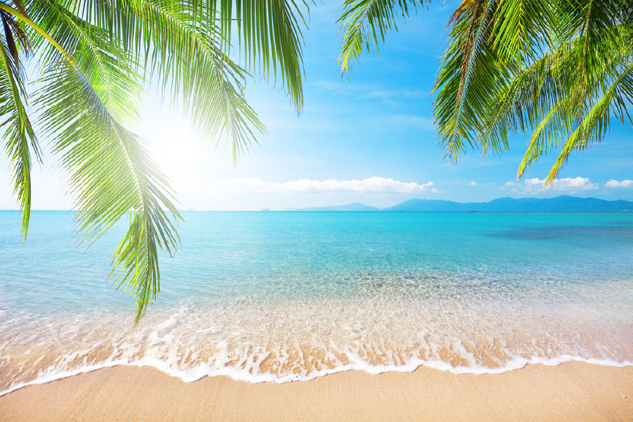 Palm Leaves Near Sandy Blue Sea Photograph Print 100% Australian Made