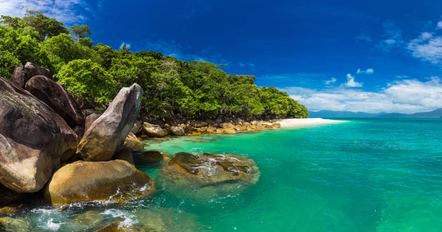 Sea & Forest Scenery Photograph Home Decor Premium Quality Poster Print Choose Your Sizes