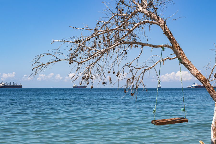 Sea Swings on Wild Beach View Photograph Russia Print 100% Australian Made