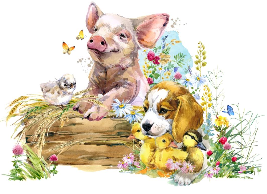 Pig Dogs & Baby Ducks Painting Home Decor Premium Quality Poster Print Choose Your Sizes