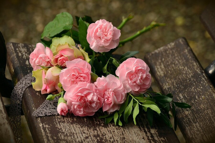 Pink Roses with Leaves Photograph Print 100% Australian Made