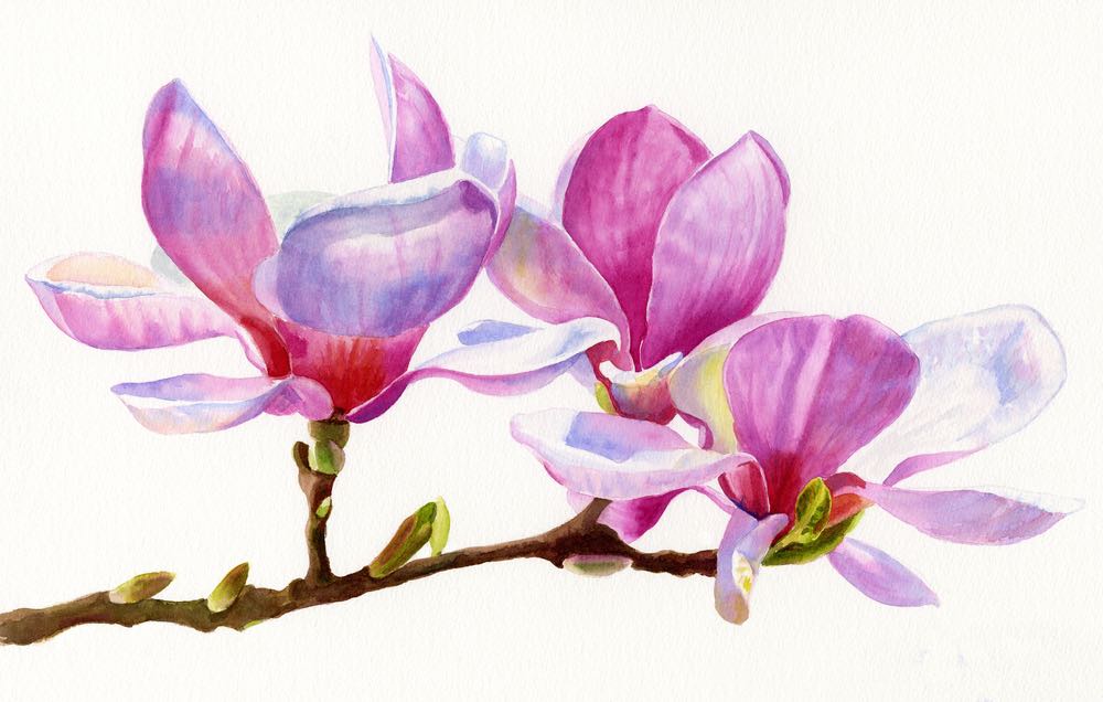 Pink Flowers Macro Painting Print 100% Australian Made