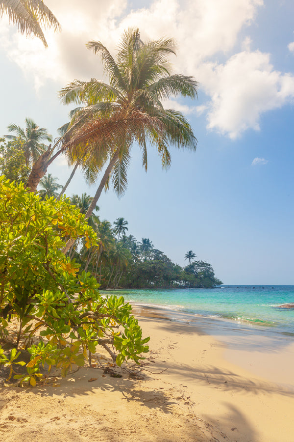 Palm Trees & Sandy Beach View Photograph Print 100% Australian Made
