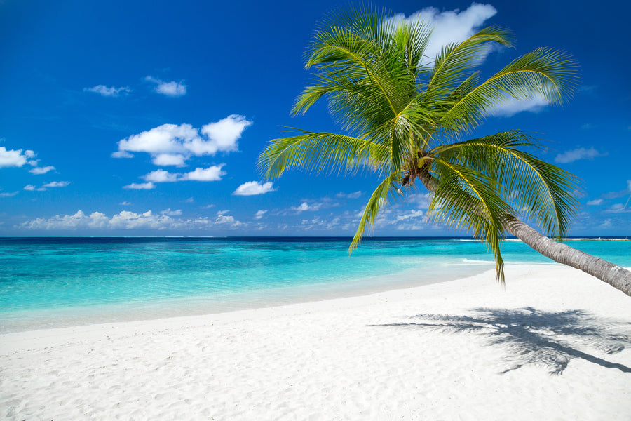 Bella Home Paradise Beach with White Sand Print Canvas Ready to hang