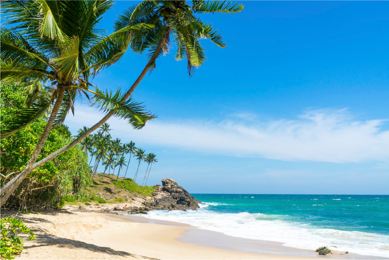 Bella Home Beach Coastal With Palm Trees Print Canvas Ready to hang