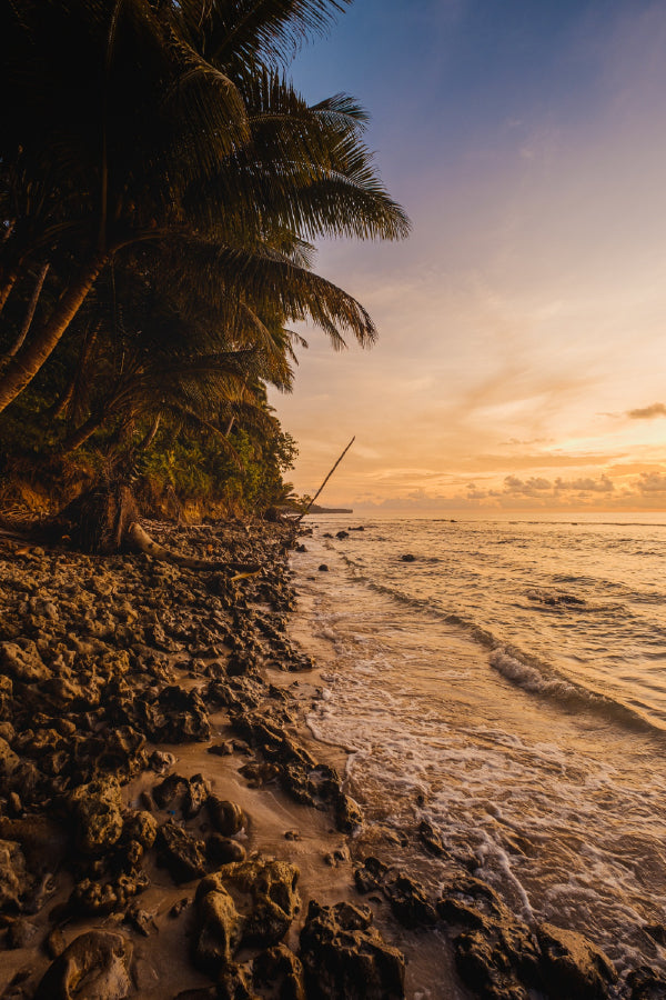 Trees on Rocky SeaShore Sunset View Photograph Print 100% Australian Made