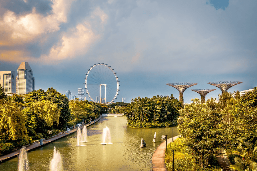 Singapore Gardens By the Bay Print 100% Australian Made