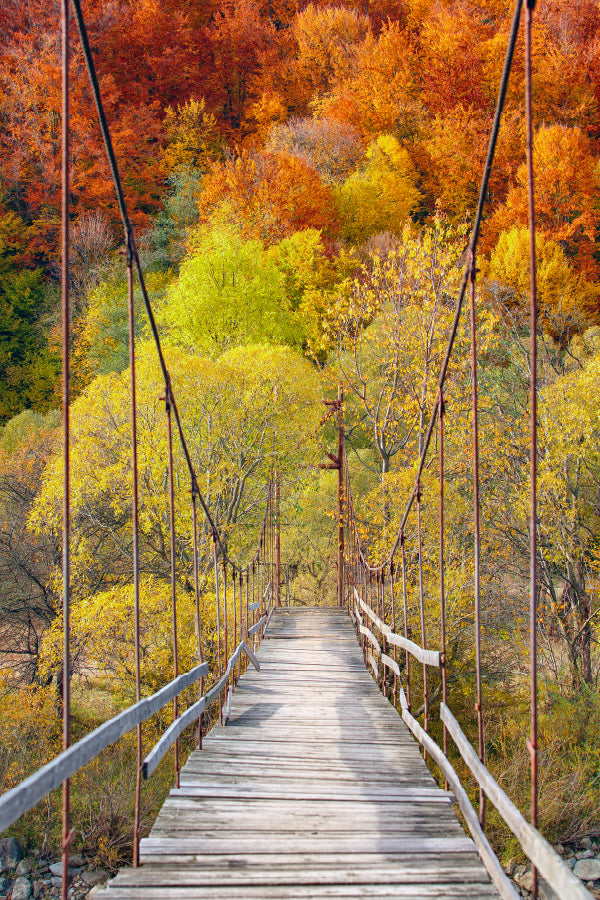 Suspension Bridge & Autumn Forest Scenery Photograph Print 100% Australian Made