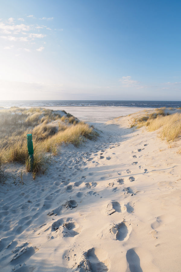 Dunes North Sea with Blue Sky Photograph Print 100% Australian Made