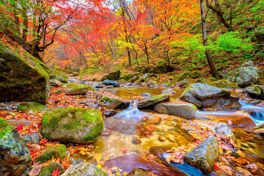 Bella Home Bangtaesan Mountain Autumn, Korea Print Canvas Ready to hang