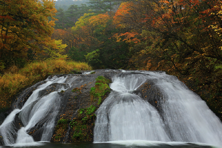 Autumn Kamabuchi Falls Photograph Print 100% Australian Made