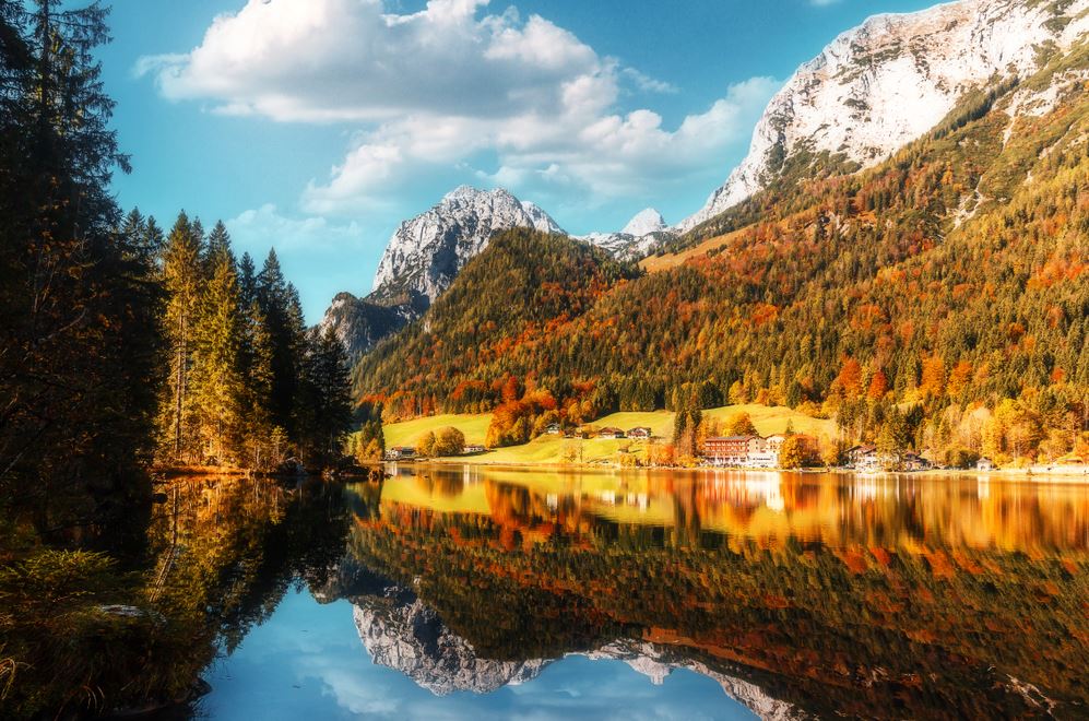 Lake & Forest Scenery Photograph Home Decor Premium Quality Poster Print Choose Your Sizes