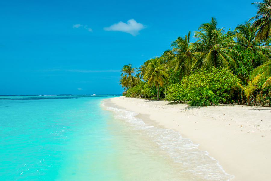Sandy Beach View Maldives Island Photograph Home Decor Premium Quality Poster Print Choose Your Sizes