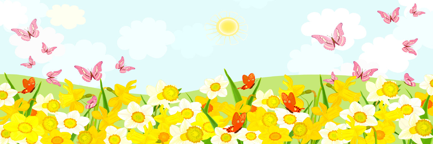 Panoramic Canvas Flowers & Butterflies Vector Design High Quality 100% Australian Made Wall Canvas Print Ready to Hang