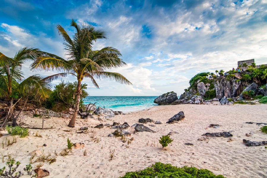Rocks & Palms in Yucatan Peninsula Beach Print 100% Australian Made