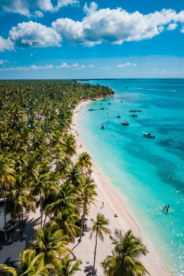 Palm Trees & Boats Sea Shore View Photograph Print 100% Australian Made