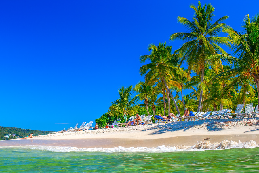 Palm Trees & Sea Scenery View Photograph Home Decor Premium Quality Poster Print Choose Your Sizes