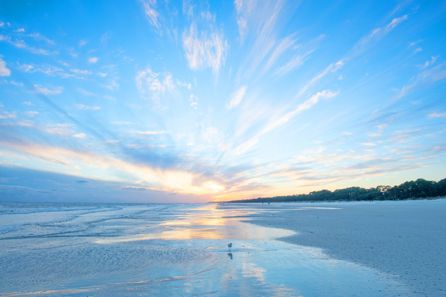 Beach Sunset & Shore Bird Hilton Photograph Print 100% Australian Made