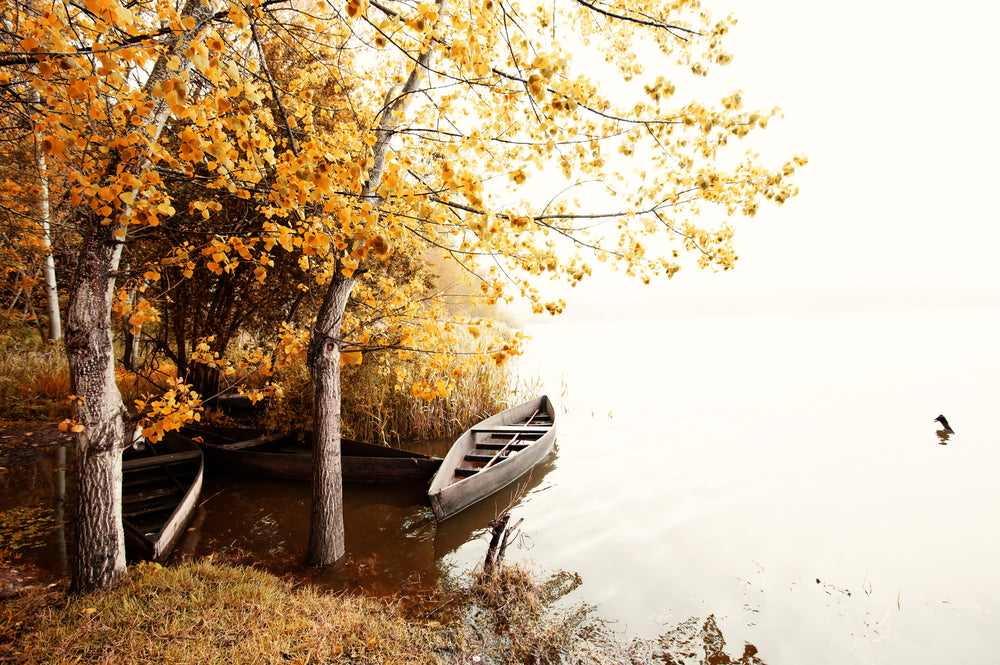 Autumn Tree Forest & Boat with Lake Photograph Print 100% Australian Made