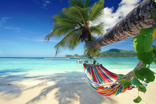 Hammock on Palm Tree at Sea View Print 100% Australian Made