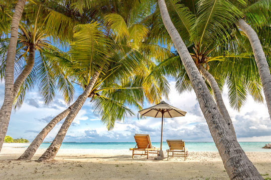 Palm Trees & Beach Hut on Shore Print 100% Australian Made