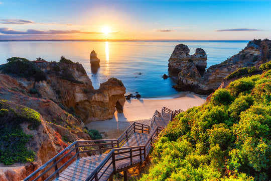 Stairs to Sea Shore Scenery View Print 100% Australian Made