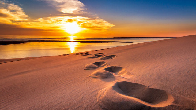 Footprints on Sea Shore Scenery Print 100% Australian Made