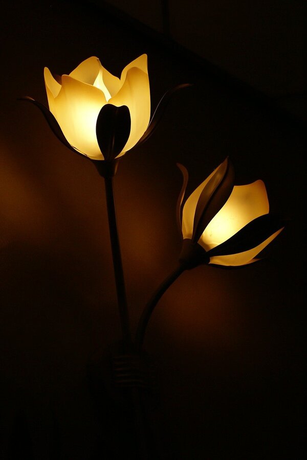 Lamp Flowers Closeup Photograph Print 100% Australian Made
