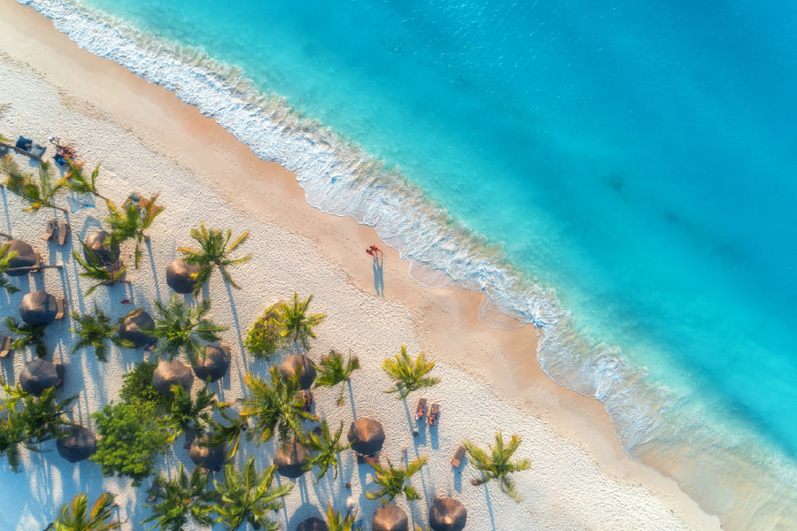 Umbrellas & Palms on Beach Aerial View Photograph Home Decor Premium Quality Poster Print Choose Your Sizes