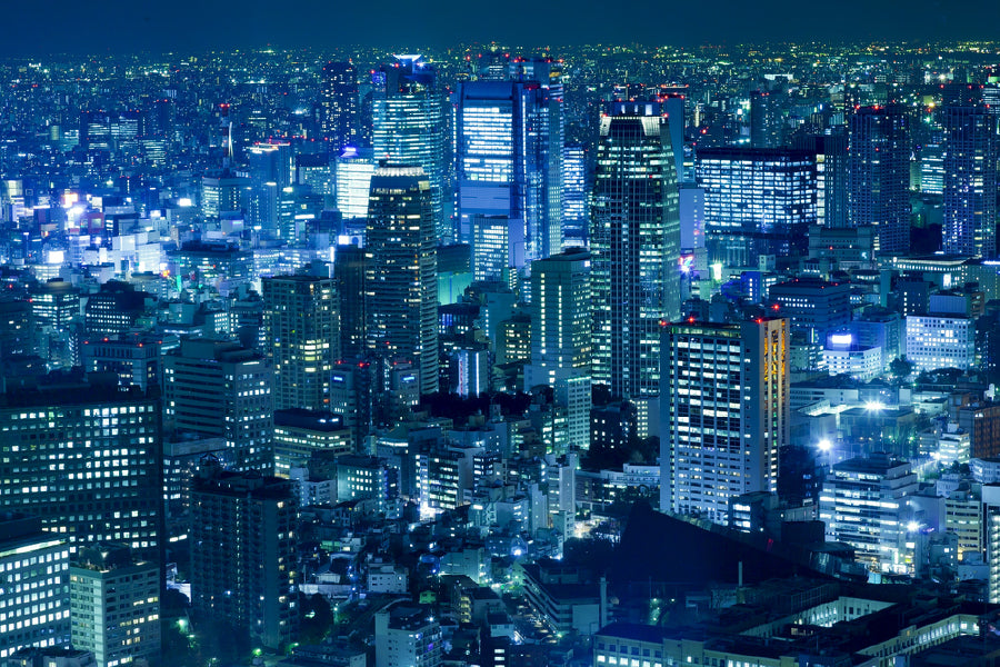 Tokyo Japan Dense City Skyline Photograph Print 100% Australian Made